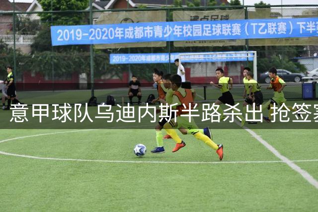 意甲球队乌迪内斯半路杀出 抢签塞尔维亚国脚米洛舍维奇